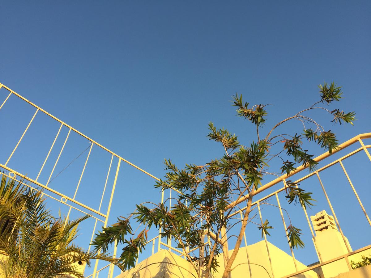 Riad Tizwa פס מראה חיצוני תמונה